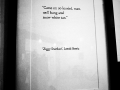 P1070135-Copy.jpg