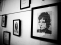 P1070154-Copy.jpg